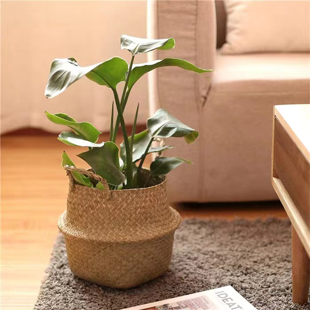 Panier à plantes avec poignées - Basket Bag Wicker avis et prix